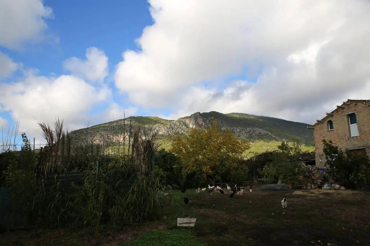 Cozy House Mountain View Algodonales Villa 0*,  Spain